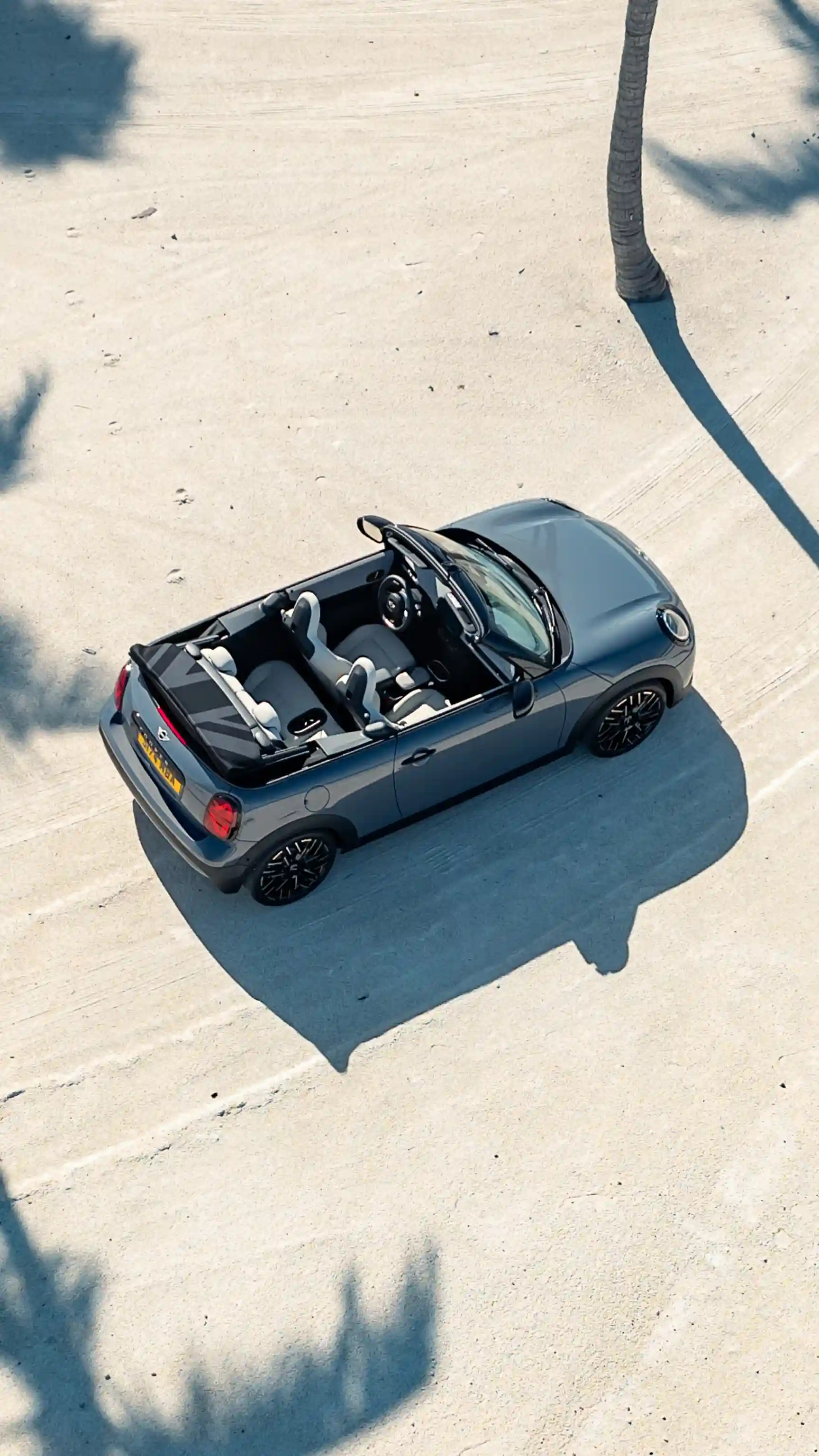 MINI Cooper Cabrio – Palmen
